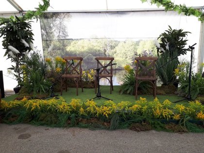 Foto salona iekārtojums