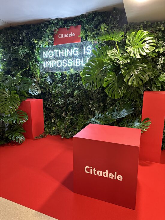 Foto zona ar zaļo sienu, tropu augiem, podestiem