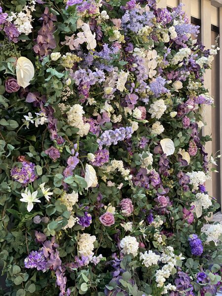 Maigi violeto ziedu siena